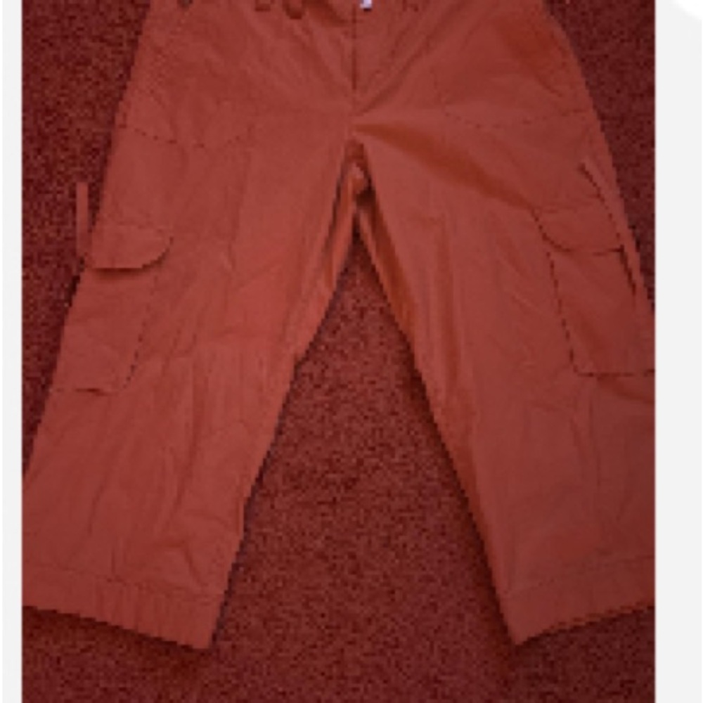 Daisy Fuentes Brown and Cream Capris Relaxed Fit